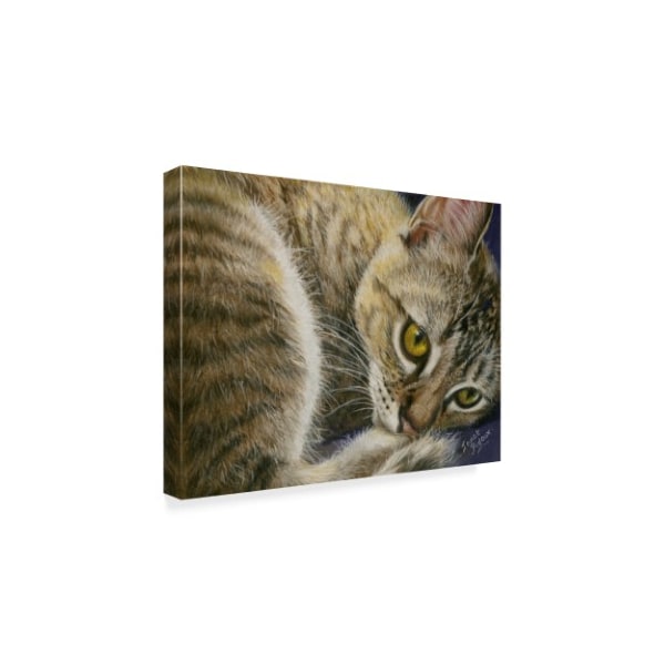 Janet Pidoux 'Bright Eye Kitten' Canvas Art,24x32